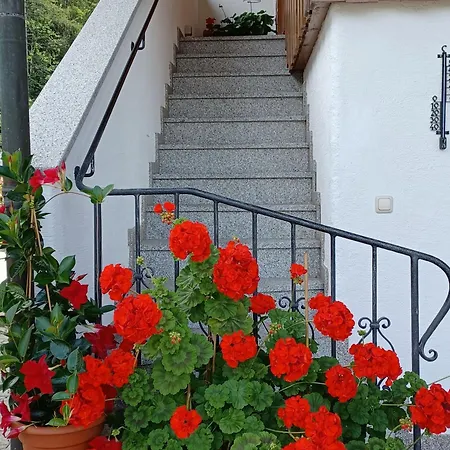 Haus Heistracher Apartment Reit im Winkl